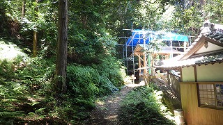 森の木陰でも暑い！