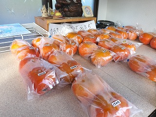 冬の柿