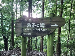 銚子の滝への林道