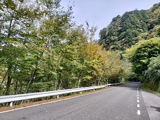 新居浜市 別子銅山の紅葉?!