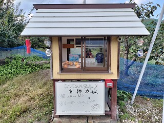 大好物な柿を買って帰りました!